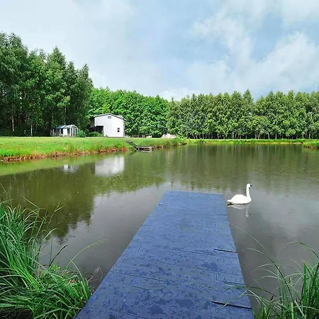 On The Island, Hébergement de vacances