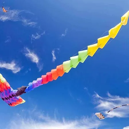 On The Island, Niezyn