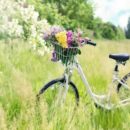 Hébergement de vacances On The Island,